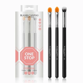 Blank Canvas One Stop Conceal Brush Set Discontinued