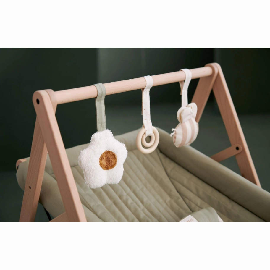 Growing Green Arch Toys VARIOUS STYLES