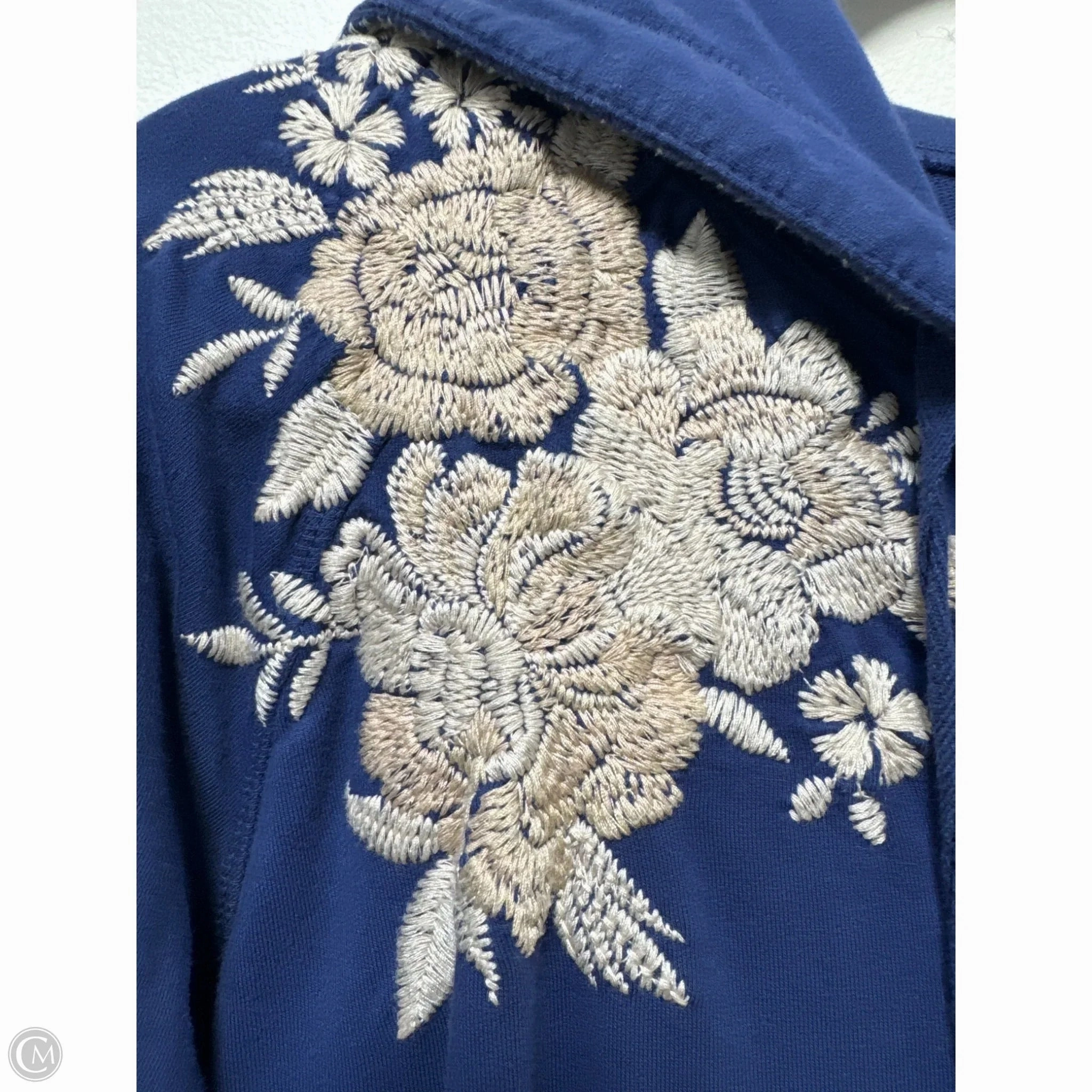 Sweatshirt Hoodie By Johnny Was In Blue & Cream, Size: Xl